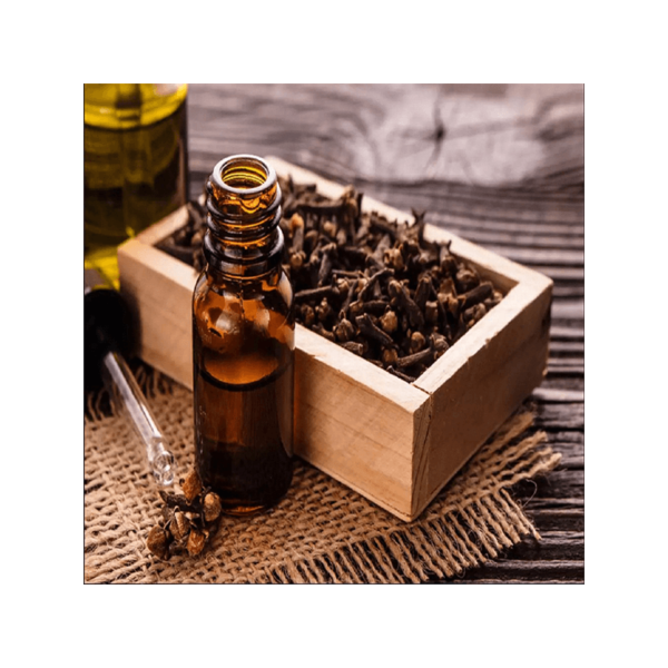 CLOVE BUD ESSENTIAL OIL