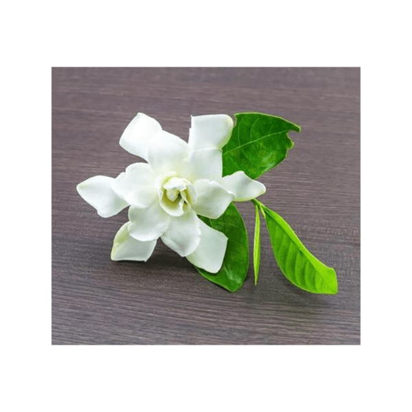 GARDENIA & WHITE PEACH FRAGRANCE OIL