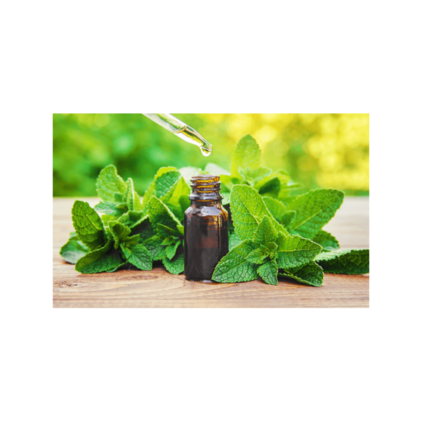 PEPPERMINT ESSENTIAL OIL