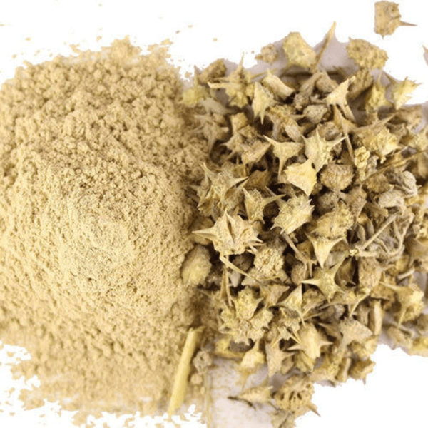 Gokhru | Gokshura Powder | Tribulus Terrestris Powder