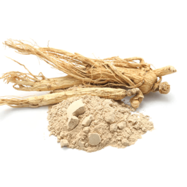 Shatavari Powder - Asparagus Racemosus - Satavar Churna - Satavari Powder