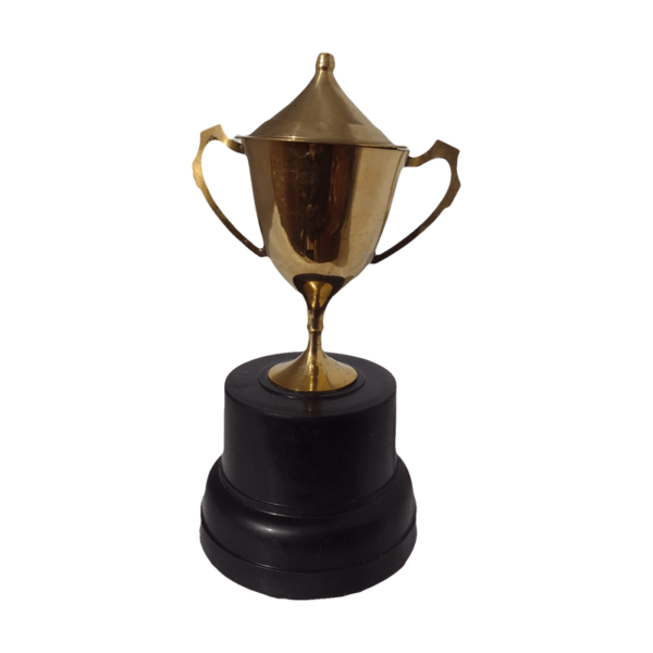 MEMENTOS Fiber Metallic-Fiber Trophy Cup (Gold with Red Stripe)