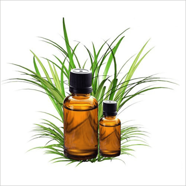 CITRONELLA ESSENTIAL OIL 100% PURE , DISTILLED ESSENTIAL OILS