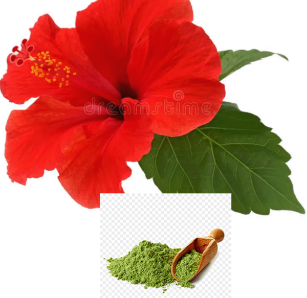 Hibiscus Leaf Powder