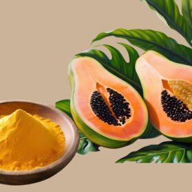 Natural Ripe Papaya Fruit Powder