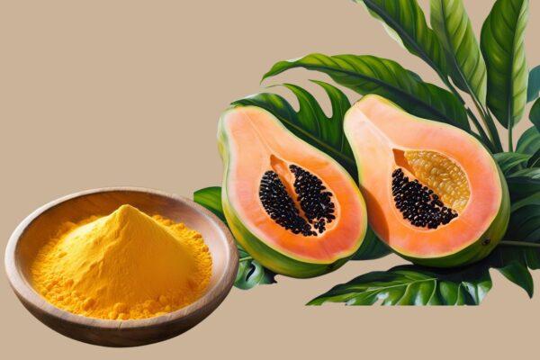 Natural Ripe Papaya Fruit Powder